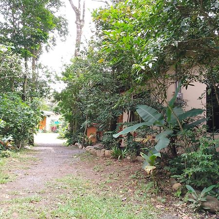 Casitas Del Bosque Monteverde. Szoba fotó