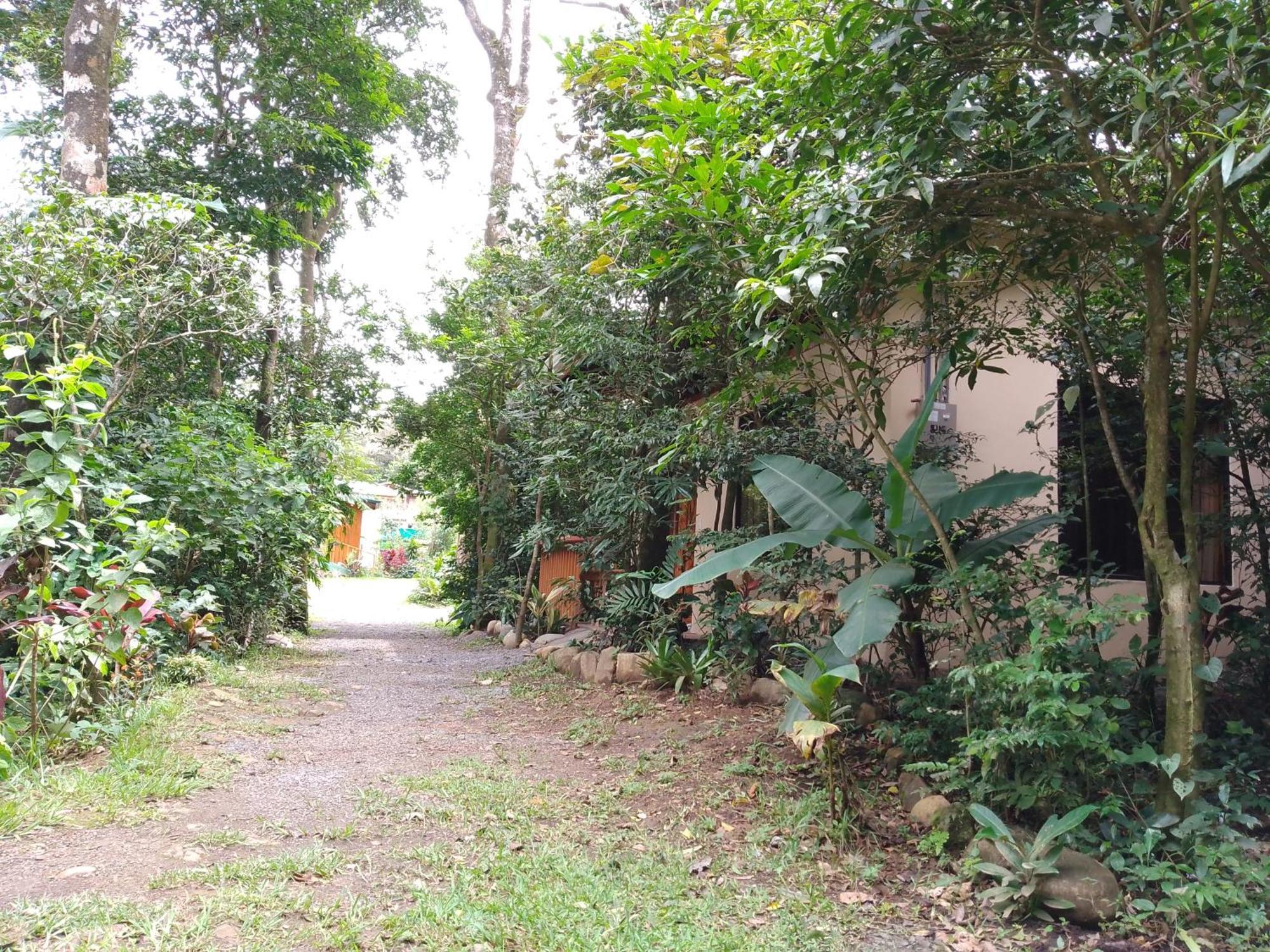Casitas Del Bosque Monteverde. Szoba fotó